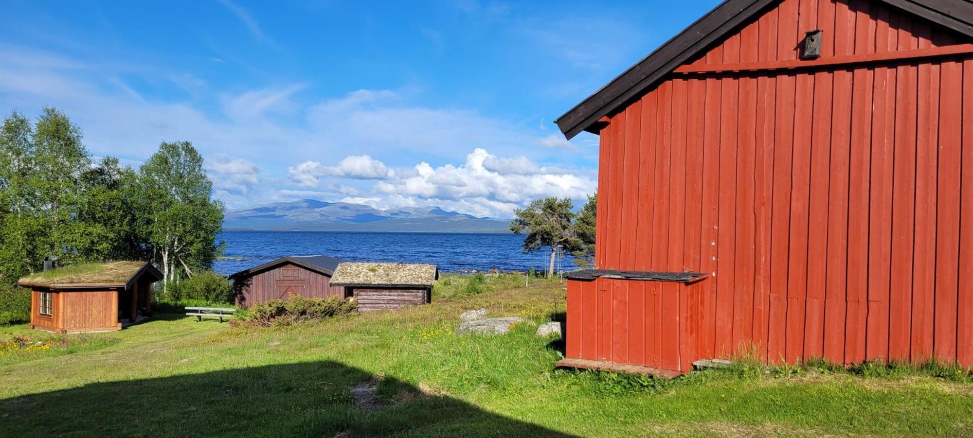 Buviken Nordre, Femund Apartment Somadalen Bagian luar foto